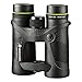 Vanguard Spirit XF 10x42 Binocular, Waterproof/Fogproof, Bak4 Phase-Coated Prisms for Bright, Sharp Resolution , Black