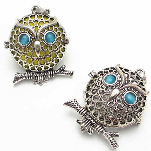 Dandan DIY 5pcs Owl Bird Brass Hollow Cage Locket Perfume Essential Oil Aromatherapy Diffuser Charms Owl Hollow Pendant Craft Diffusion Ball (Owl-1)