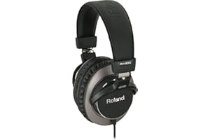 Roland RH-300 Stereo Headphones,Black