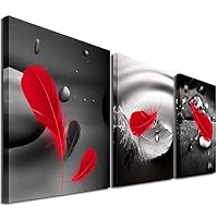Mon Art Abstract Art in Black Background Red Feather on Canvas Print Wall Art Home Decor Modern Picture Artwork Decoration for Bathroom Bedroom Living Room Stretched and Framed,12"x12"x3Pcs