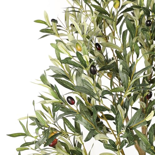 PHYTREE Artificial Olive Tree, 5.5FT Faux Olive Tree with White Tall Planter, Large Fake Potted Olive Plants with Lifelike Fruits and Realistic Trunk, Artificial Trees for Home Office Decor Indoor