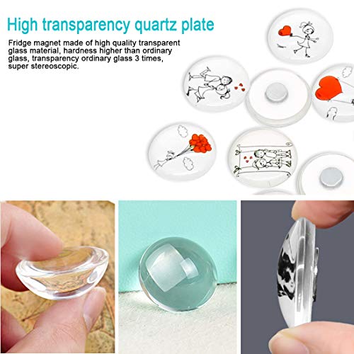 image for Cosylove 12pcs Flower Refrigerator Magnets, Crystal Glass Fridge Magne