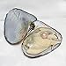 Milkyway Natural Oyster Pearl Monster Oysters with Pearls Inside Bulk Real in Oyster, Freshwater Oval Pearls Cultured Oysters Clam Shells, Anniversary Decoration for Jewelry Making Gifts(7-8mm)