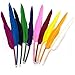 DADITU Feather Pen Multiple Feather Colors Fashion ballpoint Pen Original Feather Goose Stationery Pen Feather Quill Ballpoint Pen Purple Retro Feather Quill Ball Pen Mixed Color 10PCS 10 Colors