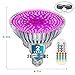 MZVUL LED Grow Light Bulb Timing 100W Full Spectrum Plant Light Bulb Dimmable with 3 Modes Auto On/Off Grow Lights for Indoor Plants Garden Flowers Vegetables Greenhouse Hydroponic Growing (E26/E27)