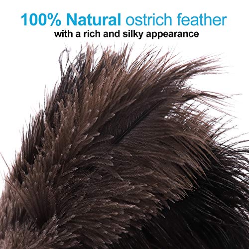 Midoneat Natural Black Ostrich Feather Duster,2 Packs,Car Duster Interior/Exterior Cleaner,Duster for Blinds Kitchen Keyboard Office, Washable Duster,Smart and Soft and Fluffy Duster - Thumbnail 2