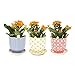 CHIVE ‘Liberte’ Ceramic Succulent Pots — Set of 3 — Cute Vintage Farmhouse Style Planters for Indoor Plants — Beautiful Home & Kitchen Decor — Yellow, Blue & Red (Mix 3)