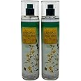 Bath & Body Works Chasing Fireflies Fine Fragrance Mist 8 fl oz - Pack of 2