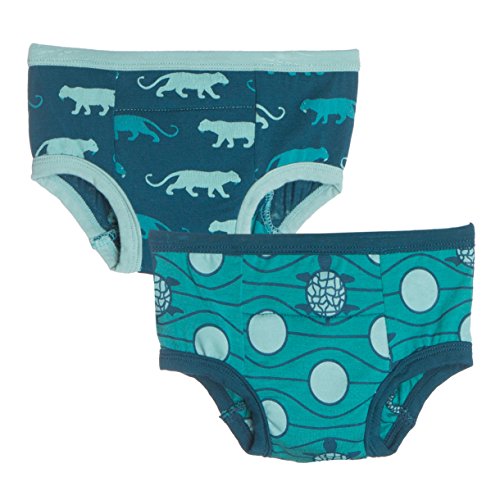 Buy Kickee Pants Training Pants Set 