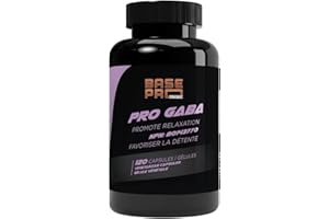 Pro GABA – 120 Vegetarian Capsules – 700 mg Gamma-Aminobutyric Acid (GABA) per Capsule – Helps to Temporarily Promote Relaxat