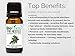 BioFinest Fir Needle Oil - 100% Pure Fir Needle Essential Oil - Calm Mind, Reduce Fatigue, Ache, Arthritis - Premium Quality - Therapeutic Grade - Best For Aromatherapy - FREE E-Book (10ml)
