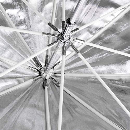 image for MOUNTDOG 47