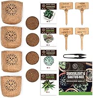 Cactus Kit de semillas de suculentas para principiantes - Kit de ...