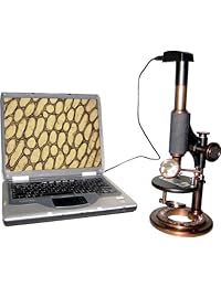 ioptron Electronic Antique Microscopio