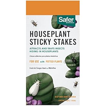 Safer Brand 5025 Houseplant Sticky Stakes Insect Trap, 7 Traps