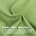 NTBAY Microfiber Toddler Pillowcases, 2 Pcs Zipper Closure Travel Pillow Covers, 13 x 18, Sage Green