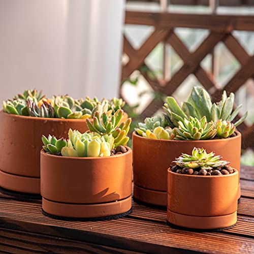 Set of 4 Terracotta Shallow Planter Pots for Succulent, 3 Inch 4 Inch 5 Inch 6 Inch, Small