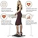 FluidStance Adult Balance Board for Standing Desk - Anti Fatigue USA Made 360 Degree Rocker Wobble Board as Exercise Equipment to Increase Focus & Movement - Sustainable Anti-Slip Plane Standing Board