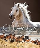 À la rencontre des chevaux du monde (Cheval Mag - Beaux Livres) (French Edition) by 