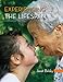 Experiencing the Lifespan