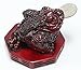 Fortune Coin Red Three Legged Money Toad/ Frog /Chan Chu on BaGua - Feng Shui Chinese Charm of Prosperity Decoration Gift US Seller (Idea for Office Desk, Computer, Book/TV Shelf, and Cashier Registration Area Display)