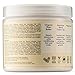 Shea Moisture Raw Shea Butter Powerful Duo, Deep Treatment Masque, 16 Fl Ounce | Shea Moisture Jamaican Black Castor Oil Strengthen and Grow Leave-In Conditioner, 16 Fl Ounce