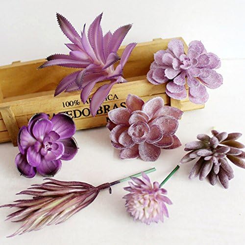 Dutch Brook 5 Pcs Purple Simulation Succulents Artificial Cactus Plants for Home Office Garden Decor (Sent Randomly)