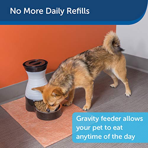 PetSafe Healthy Pet Food Station Gravity Pet Feeder for Dogs and Cats