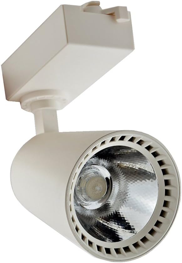 Faro COB LED Schiene schwenkbar Licht 10 W 30 W 40 W KIRA DR – Watt 30