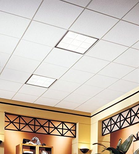 Amazon Com Ceiling Tile 24 X 24 In 5 8 In T Pk16 Home Improvement