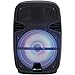 12-Inch Portable Bluetooth DJ Speakerthumb 1