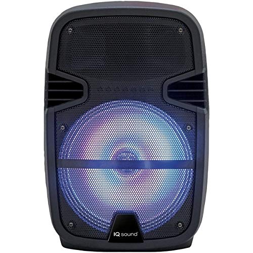 12-Inch Portable Bluetooth DJ Speaker