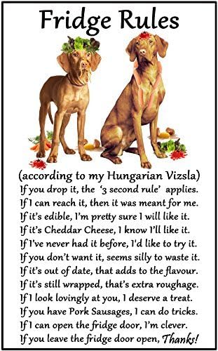 Hungarian Vizsla Gift - Fridge Rules Funny Fridge Stickers Warning Stickers Peel and Stick Kitchen Home Decor 6"x4"