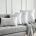 MIULEE Pack of 2, Decorative Pillow Insert Polyester Cotton Indoor White Adjustable Throw Pillows for Sofa Bed 18
