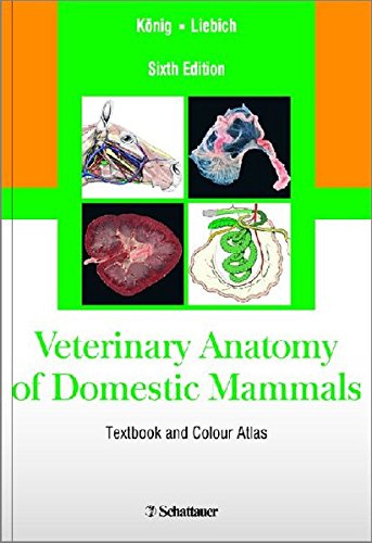 Veterinary Anatomy of Domestic Mammals: Textbook and Colour Atlas, Sixth Edition, by Horst Erich K�nig, Hans-Georg Liebich