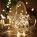 EVERMARKET(TM) 30FT 10M 100 LED Waterproof String Light with 8 Flashing Modes for Christmas Holiday Fairy Wedding Party Indoor Outdoor Decoration Lighting, Warm White - 3 Packs