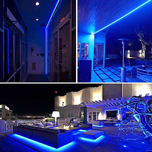 image for SURNIE 26.3ft 288 LEDs Rope String Lights, Blue, 110V, 2 Wire, Waterpr