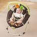 Summer Infant Sweet Comfort Musical Bouncer, Fox and Friends