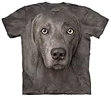 Mountain Weimaraner Adult Size T-shirt , Gray , Large