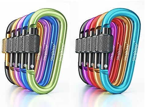 Carabiner 10 pcs Assorted Colors, INCIPIENT Aluminum Alloy locking D-ring Keychain Clip Hook Outdoor Camping Equipment With Screw Lock