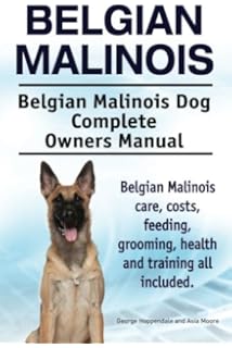 Belgian Malinois And Belgian Shepherd Belgian Malinois And