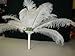 Special Sale OSTRICH Feathers Wholesale Bulk 15/18