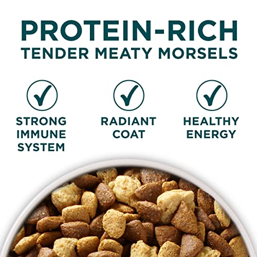 Purina ONE Natural, High Protein, Large Breed Dry Puppy Food, +Plus