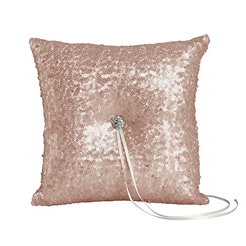 Ivy Lane Design Elsa Matte Sequin Ring Pillow, Blush