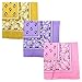 Paisley 3 piece Assorted Cotton Bandanas