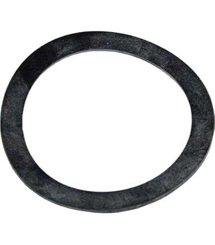 Amazon.com : Pentair 154492 2-Inch Bulkhead O-Ring