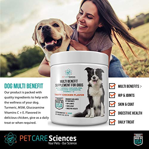 Daily Dog Multivitamin Supplement for Senior Dogs Hip and Joint, Skin and Coat, Digestive Health Supplement with Turmeric Curcumin, MSM, Glucosamine Chondroitin, Vitamin C, Vitamin E Made in The USA