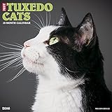2016 Just Tuxedo Cats Wall Calendar