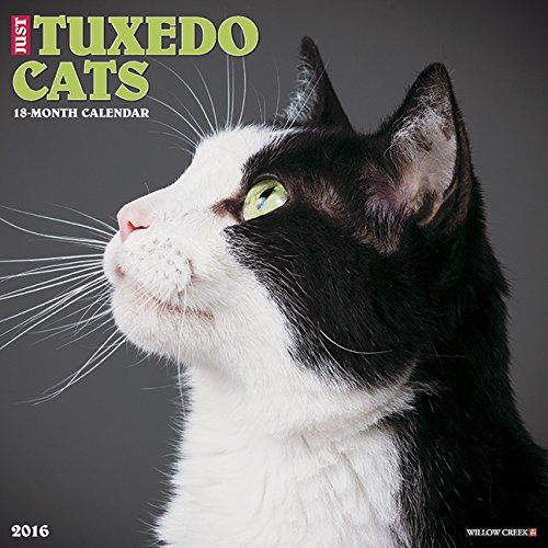 2016 Just Tuxedo Cats Wall Calendar Willow Creek Press