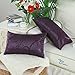 CaliTime Throw Pillow Covers Pack of 2 Modern Shining & Dull Contrast Circles Rings Accent Geometric Cushion Cases Shells for Couch Sofa Home Decor 12 X 20 Inches Deep Purple